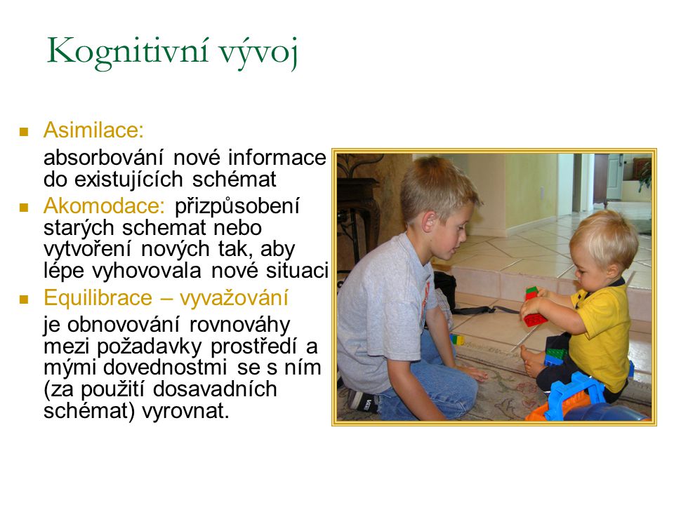 Kognitivn v voj Jean Piaget vid l v voj intelektov ch v ir m